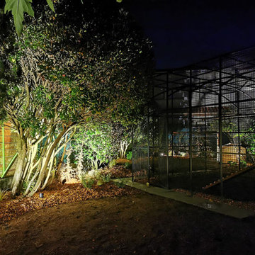 Jardin pour chats - Cat power