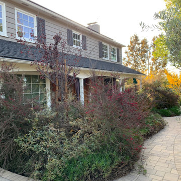 California Craftsman Forest - 5 Years Later