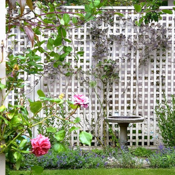 Trellis screening and a bird bath - East Lothian