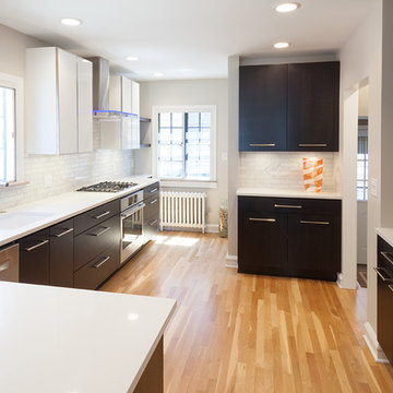 Euclid Contemporary Kitchen Renovation