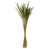 Vickerman H2CGR150 36 Green Congo Grass, 8 oz Bundle, Dried