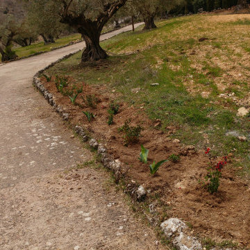 EL JARDÍN SIN RIEGO