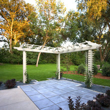 Trellis