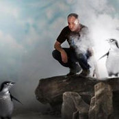 Fiorenzo Borghi's photo