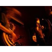 Dominic Lamb's photo