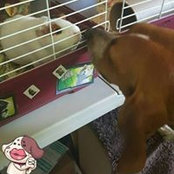 Laura Zemek's photo