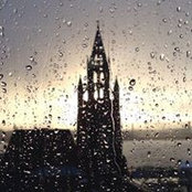 Tracy Dignan's photo