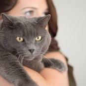 Lucy Korley's photo