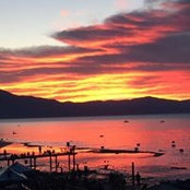 Alex Zhous foto