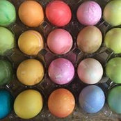 Jess N Joel Zetlmaier's photo