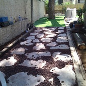 Foto von Andean Nievess