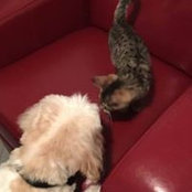 Tina Smith's photo