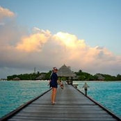 Amanda Woodfield's photo