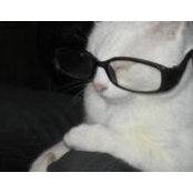 Kim Bedgood's photo