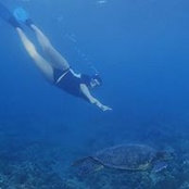 Cara Panebianco's photo