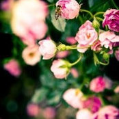 黃柏超's photo