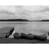 Kelly Ens's photo