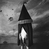 Amy Rose's photo