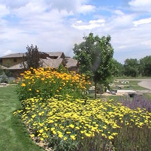 Side yard landscape