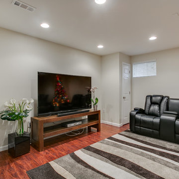 Basement Remodel