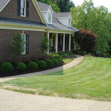 landscape ideas
