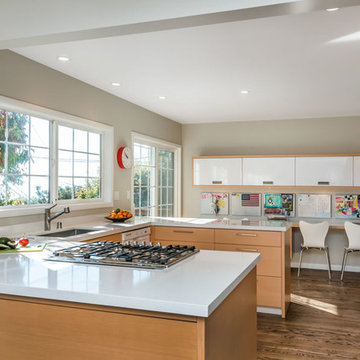 Greenbrae remodel