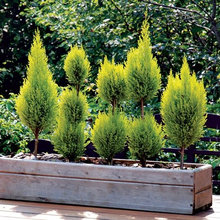Large Planter