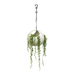 Euro Hanging Planters (Set of 2) - Products