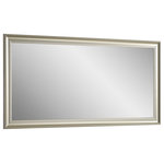 Design Element - Vera Rectangle Steel Champagne Wall Mirror, 60" X 30" - The Vera mirror collection by Design Element provides a beautiful finishing touch to your home decor. Available in different finishes and shapes, all Vera mirrors features a lightweight and durable steel frame. While these modern styled mirrors are perfect to pair up with your bathroom vanity, they are also an excellent choice for other rooms in your home such as bedrooms, living rooms and hallways.
