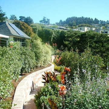 Tiburon Residence