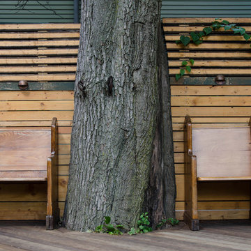 Magical backyard oasis in the city