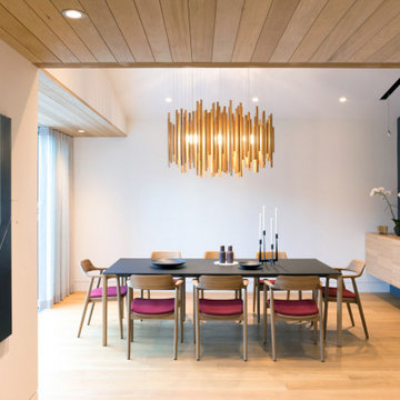 Southlands Orée Light