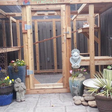 Catio