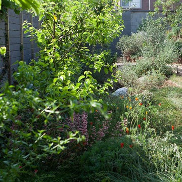 2018 Native Plant Garden Tour