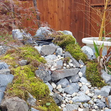 Zen Water project - ongoing