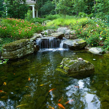 pond