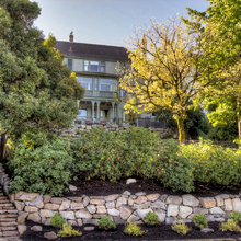 Landscape Ideas