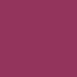Forward Fuchsia - Paint