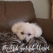 Melissa Cheladyn's photo