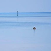 Juan Yeyo's photo