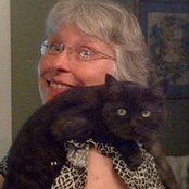 Annette Laughlin's photo