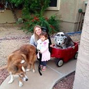 April Zehr's photo