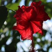 Alejandra Fernandez's photo