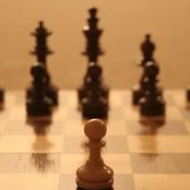 Tarek Youssef's photo