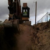 Jack Neigel's photo