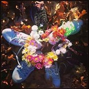 Liza Hoey's photo