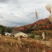 Photo de 영신 최