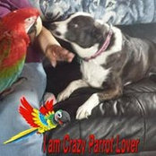 Foto de Joann Grenier