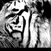 Amy Troyer's photo