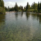 Kimberli Kresge's photo